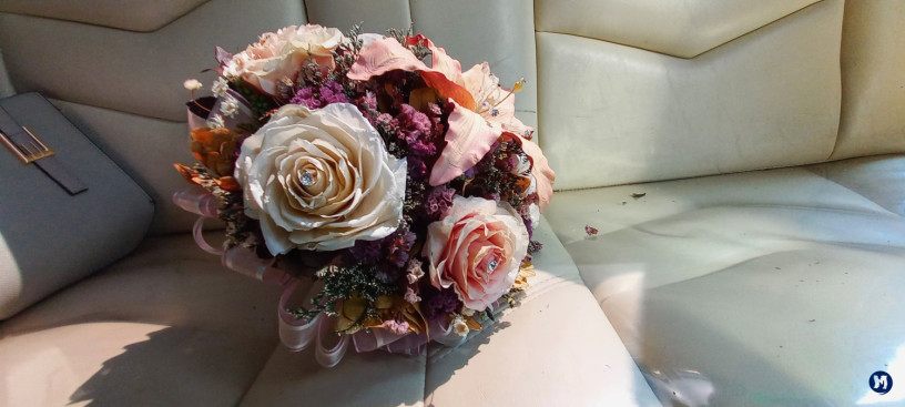 FOTO Y VIDEO  BODAS XV AOS XOCHIMILCO