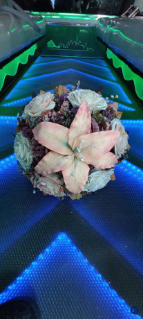 FOTO Y VIDEO PRO MAGDALENA CONTRERAS 