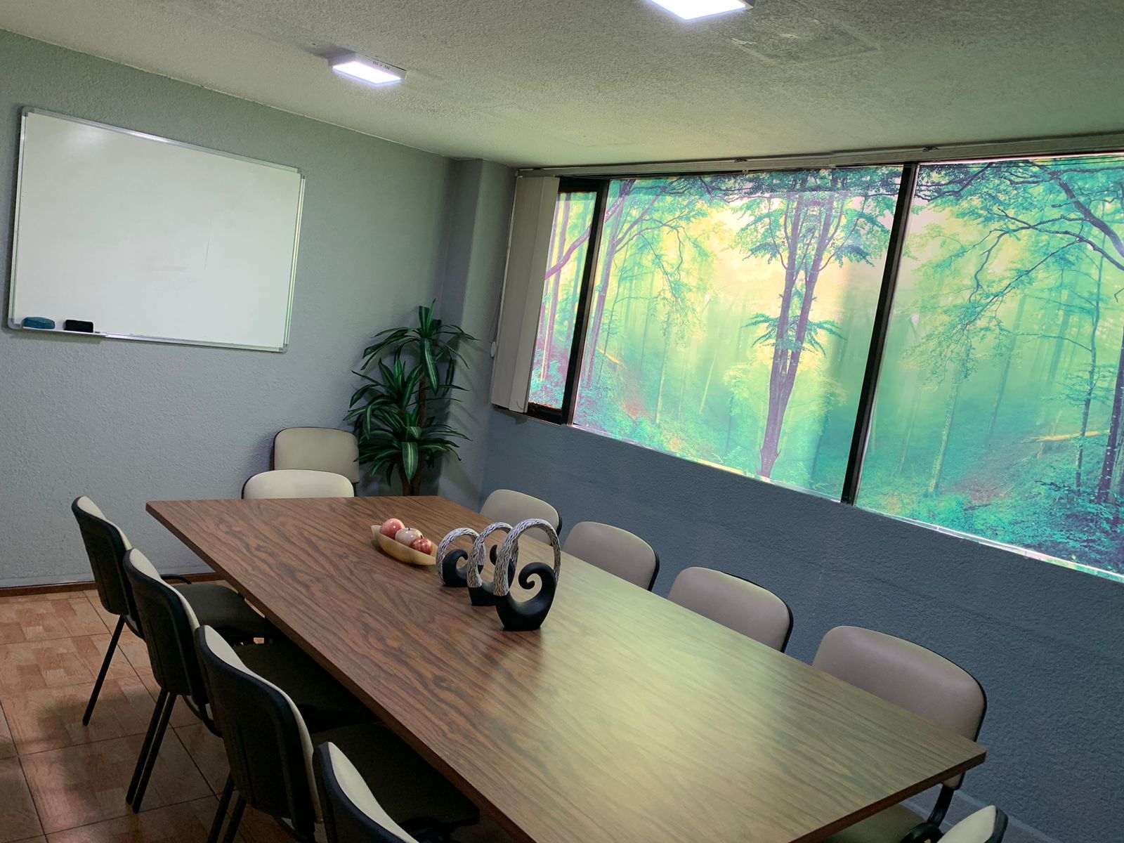 RENTA DE OFICINAS Y SALA DE JUNTAS EN NAUCALPAN - foto 3